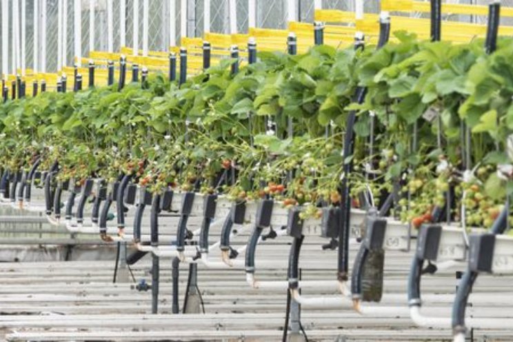 Duurzame koers tuinbouw Zuidoost-Nederland