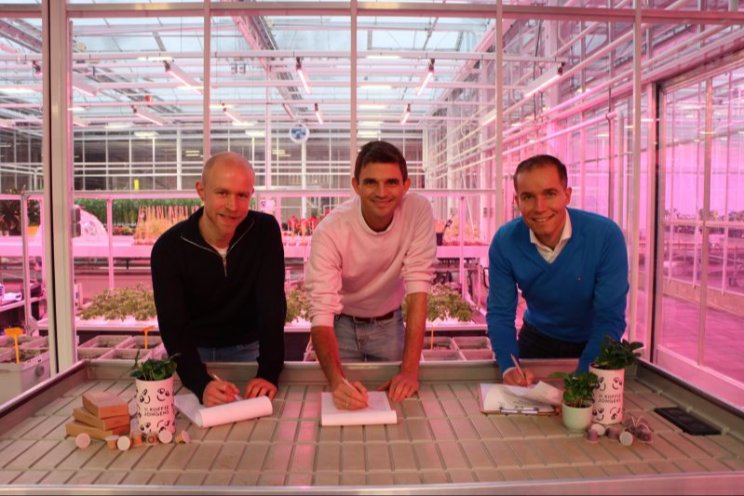 Eerste Nederlandse koffieplantage opgezet