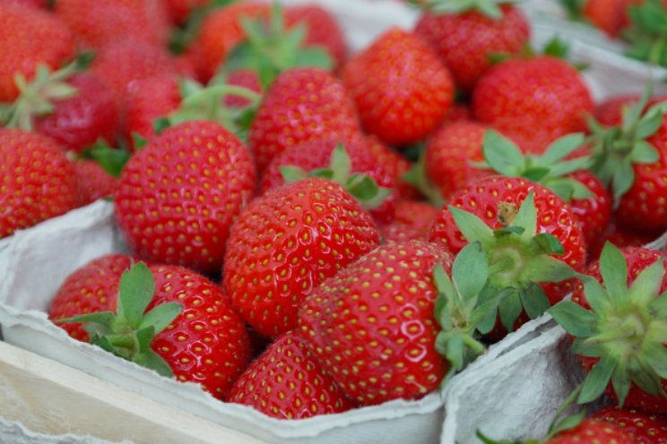 Groen licht zachtfruit voor promotiecampagne
