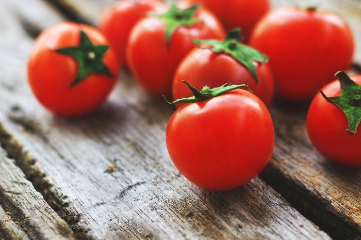 Geef jouw mening in de vierde Agro-Nutri Monitor