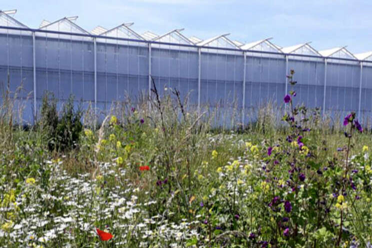 Hoge urgentie biodiversiteit