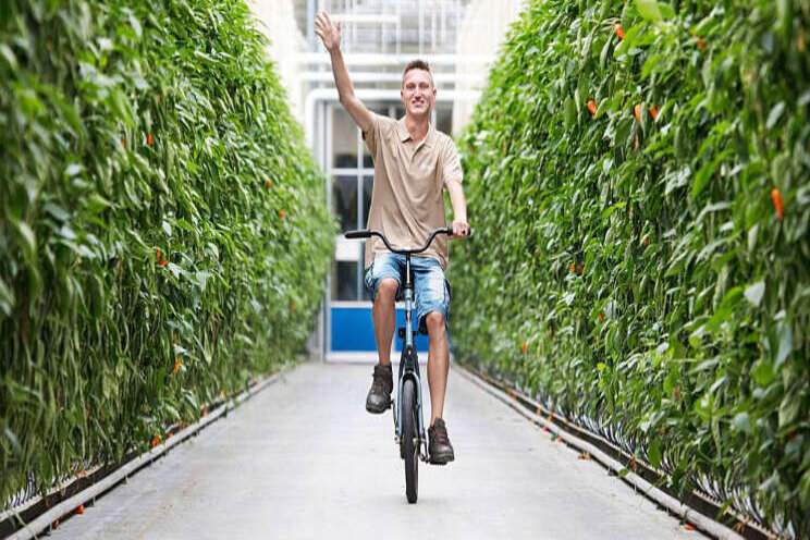 Tuinbouw gaat toekomst herijken