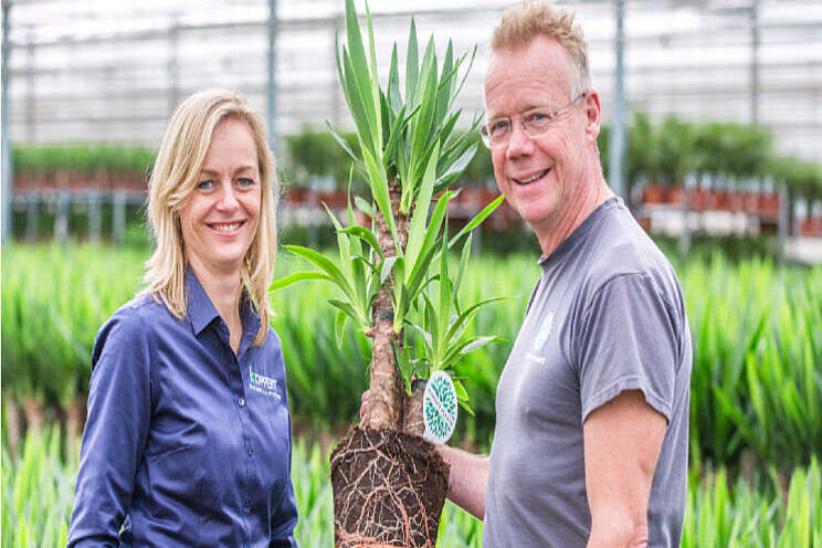 Forever Plants op weg naar de beste plantomgeving